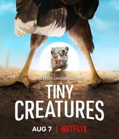 مسلسل Tiny Creatures الموسم الاول