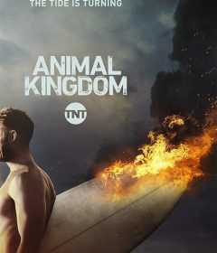 مسلسل Animal Kingdom الموسم الثاني