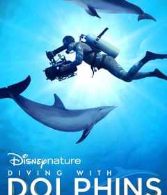 فيلم Diving with Dolphins 2020 مترجم للعربية