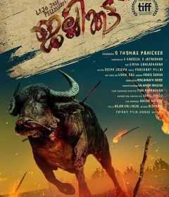 فيلم Jallikattu 2019 مترجم للعربية