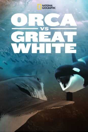 فيلم Orca vs. Great White 2021 مترجم للعربية