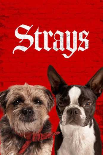 فيلم Strays 2023 مترجم للعربية