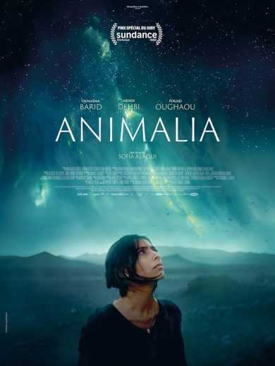 فيلم Animalia 2023 مترجم للعربية